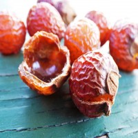 Chemical GMP Natural High Quality Soap nuts Extract Saponins/Soapnuts Extract Saponin