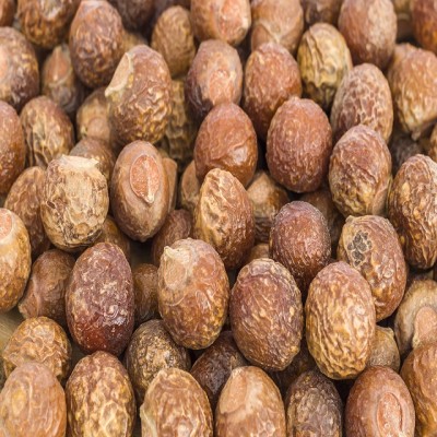 Organic Favorable price best quality Soap Nuts Extract in bulk supply